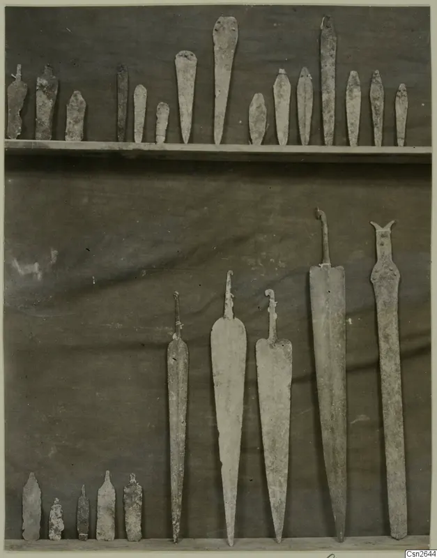 Metal spearheads, daggers and tanged blades laid out in rows against a dark cloth.
