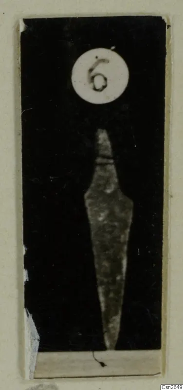 Pointed blade with a tapering tang on a black background, with a round number label above it