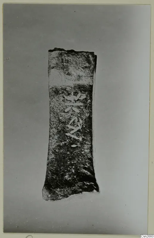 Corroded bronze tool, a flat tapering piece photographed upright on a grey backdrop.
