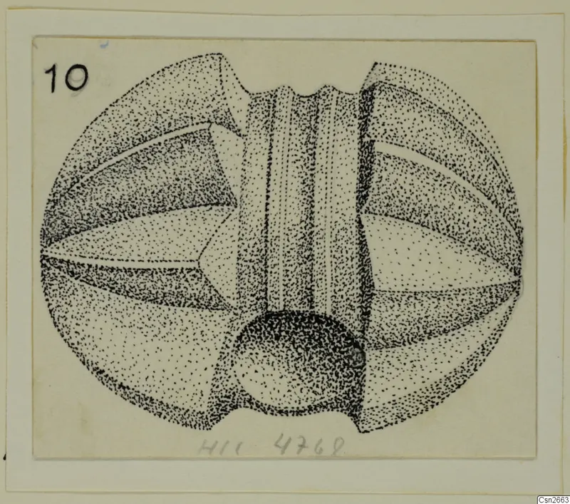 Stippled pen drawing of a rounded metal object with a central vertical band and notched top and bottom edges
