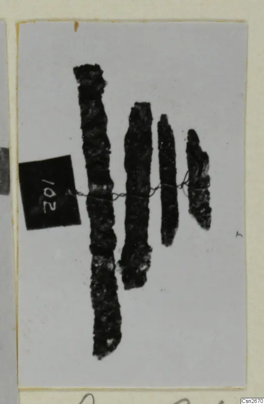 Four corroded bronze tools bound together with wire, with a square number label at the left