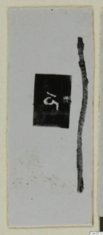 Small find photograph of a thin, elongated dark object beside a dark label with a white number