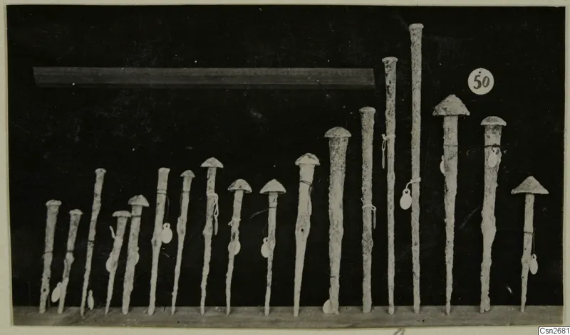 Row of about eighteen bronze tools with domed heads, standing upright on a wooden shelf against a dark background
