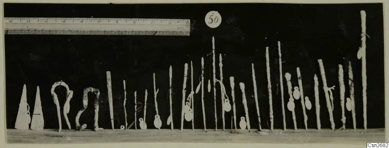 Row of bronze tools standing upright on a pale surface against a dark background, with a ruler and a number label