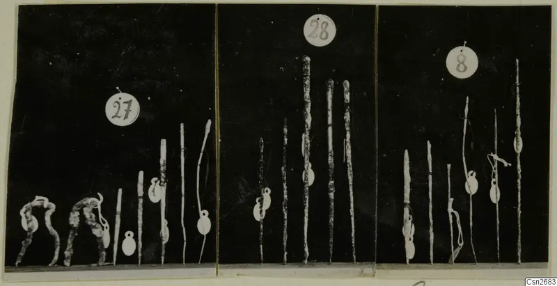 Three panels of metal tools: long thin rods and bent looped pieces, with round numbered tags above each group.