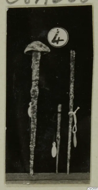 Three metal tools standing upright against a dark background, with a round number label above them