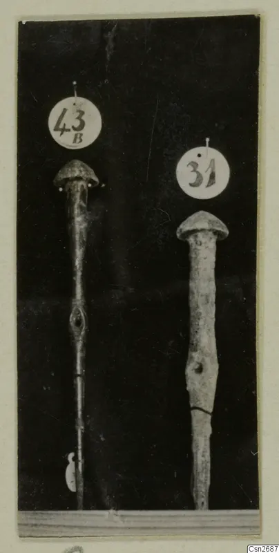 Two bronze tools with domed heads and long shafts, each with a round number tag, photographed against a dark background.