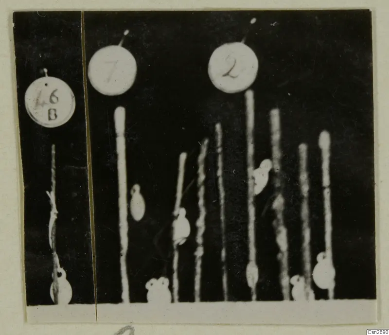 Small bronze tools mounted on upright pins against a dark background, with numbered round tags above