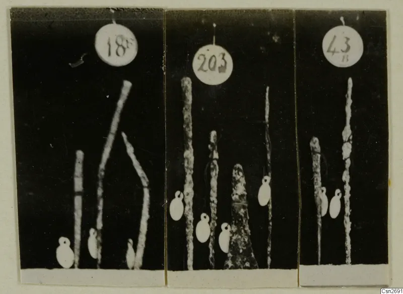 Three photographs of slender metal tools standing upright against black backgrounds, each with a round number label above.