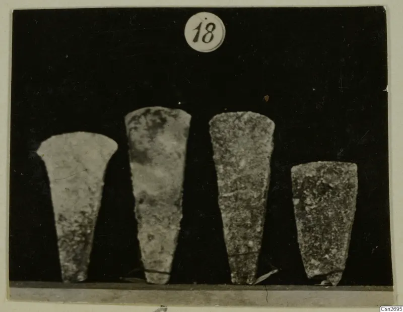 Four flat, tapering bronze tools standing in a row, with a number label above them