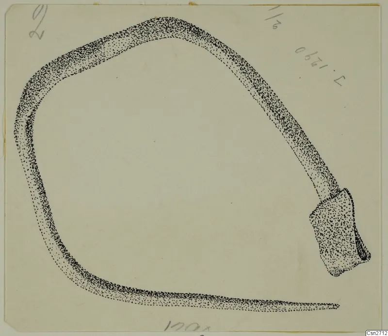 Stippled drawing of a curved bronze tool with a socket at one end, on a cream card