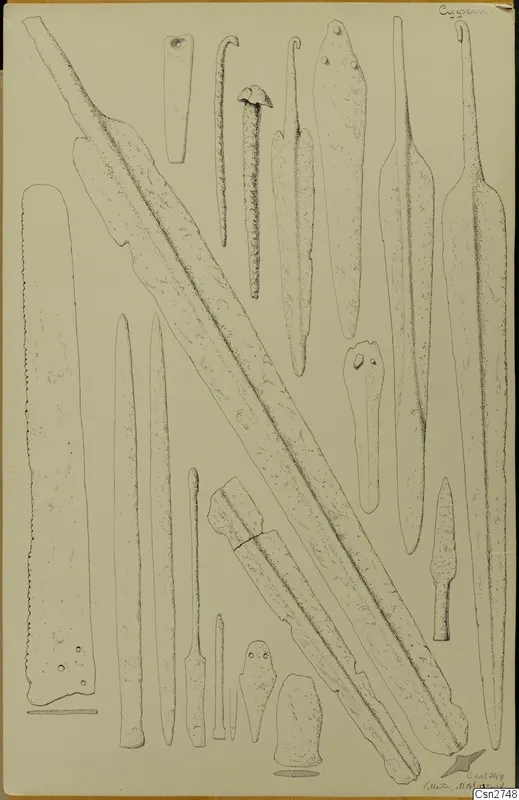 Drawing of bronze tools and weapons: long blades, pointed tanged pieces, hooked pins and short flat pieces on a pale sheet