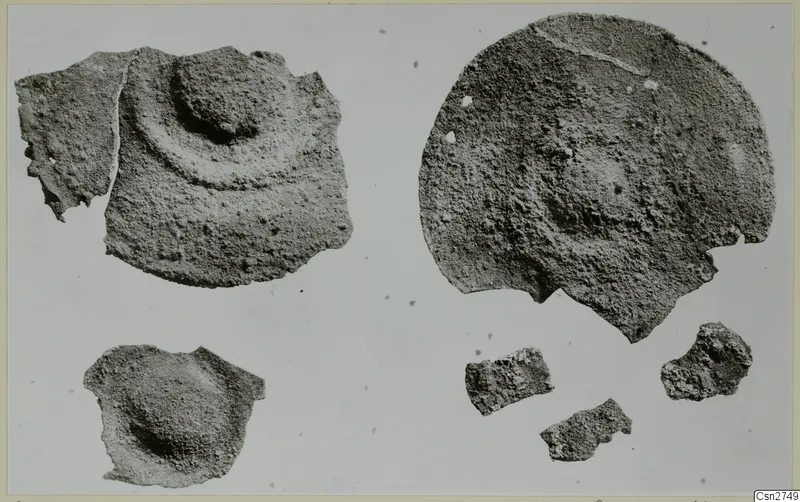 Fragments of bronze tools, corroded and encrusted, photographed on a pale ground