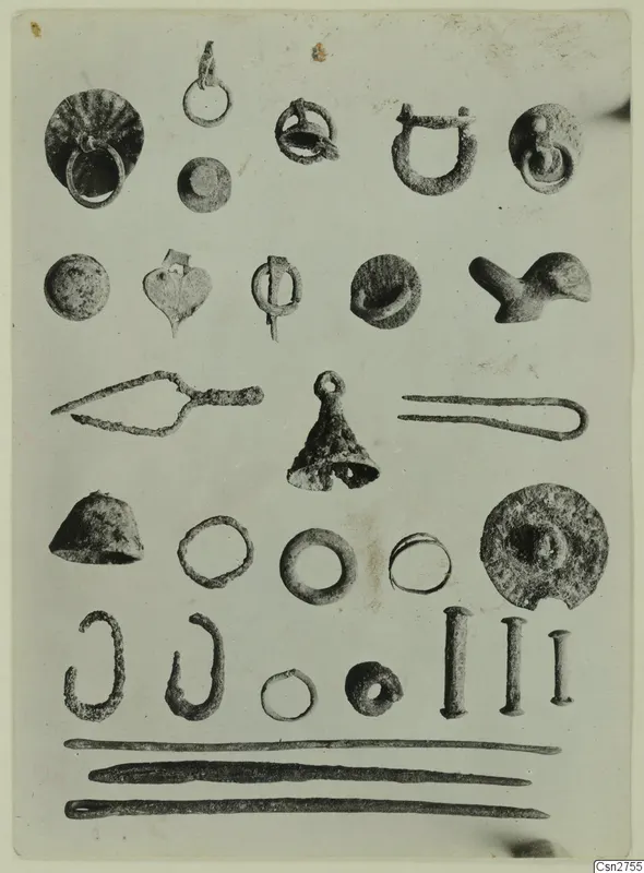 Small corroded metal objects, including rings, pins, rods, hooks and a bell-shaped piece, arranged in rows on a pale ground