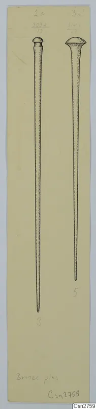 Ink drawing of two long bronze pins with domed heads, one longer than the other