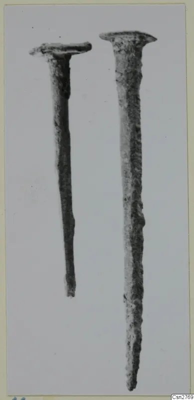 Two corroded nails with flat heads, standing upright side by side