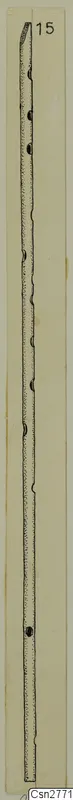 Drawing of a long, thin bronze object with a tapered top and small knobs along its length.