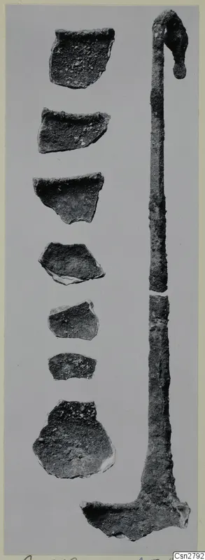 Seven corroded bronze sherds beside a long bronze implement with a hooked top and a flat expanded end.