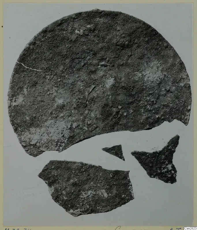 Corroded metal disc with three smaller fragments on a pale background, Marion finds