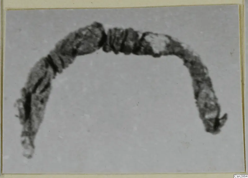 Dark, corroded metal object bent into an arc, with ribbed sections and a flared end, on a pale grey ground