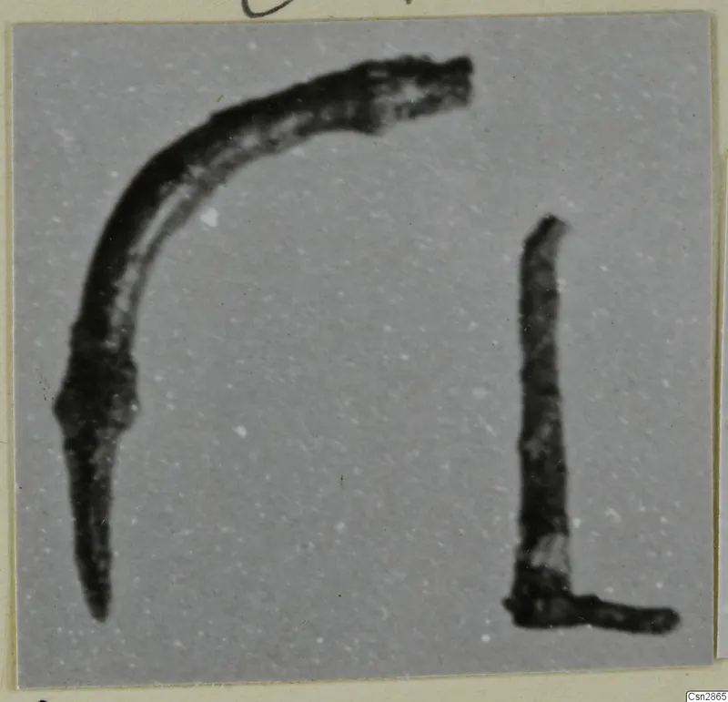Two bronze objects, a curved rod and an L-shaped rod, photographed on a grey background