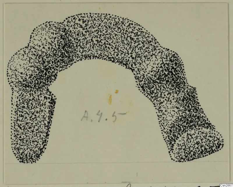 Stippled drawing of a bronze personal adornment, a thick arc-shaped object open at the bottom