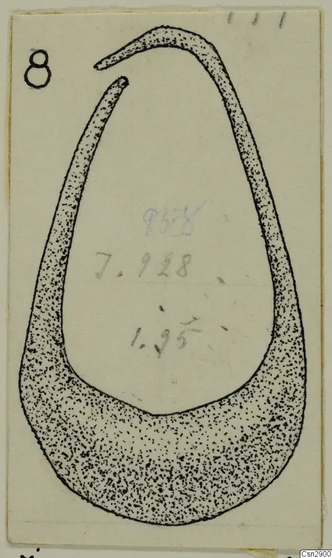 Drawing of a bronze personal adornment from Idalion: an open, crescent-shaped ring with tapering ends