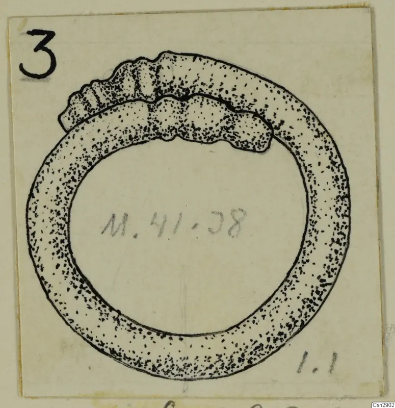Drawing of a bronze ring with a ridged, raised segment on its upper side, shown in stippled ink