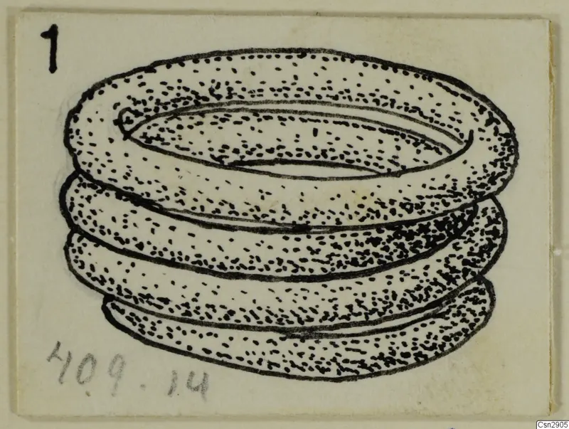 Drawing of a bronze finger ring made of coiled wire, from the Kastros tombs at Lapithos
