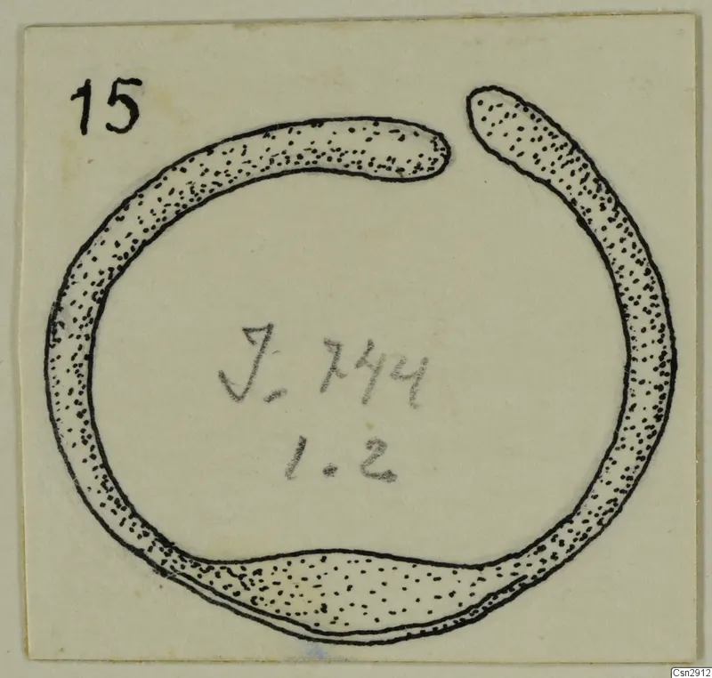 Drawing of a bronze ring with an open gap and a pencilled label reading J.744 in the centre.