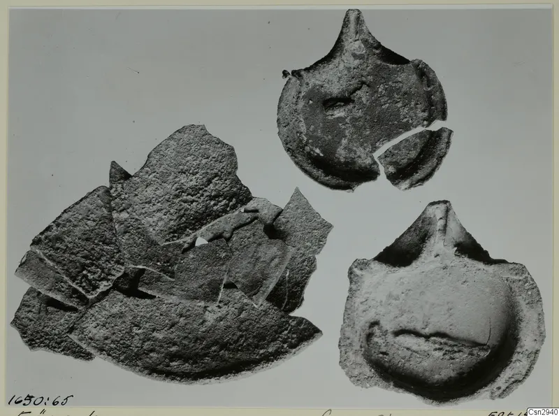 Pottery sherds and two round pieces with pointed projections, photographed before conservation