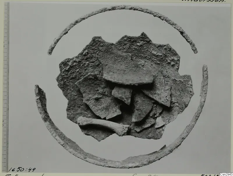Pottery sherds with two curved corroded bands around them and a bone fragment, photographed before conservation