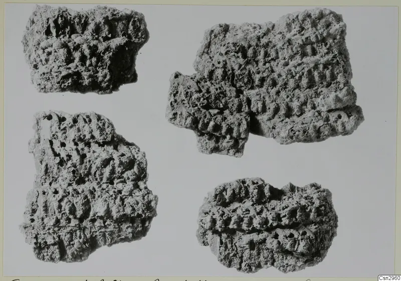 Four corroded metal fragments of a mail shirt from Amatoth, showing rows of rounded rings