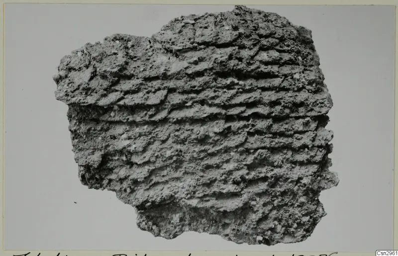 Crusted grey fragment with horizontal ridges, recorded as a piece of a mail shirt from Idalion