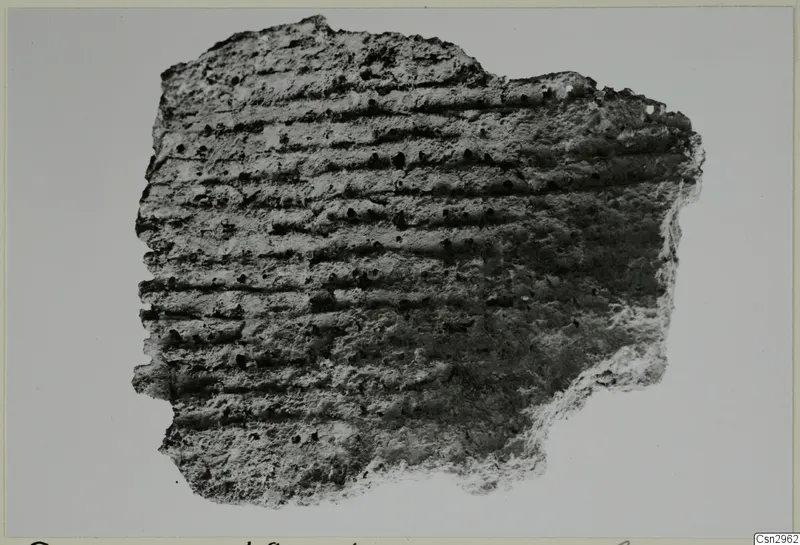 Irregular fragment with parallel horizontal ridges and small pits, photographed on a pale grey background