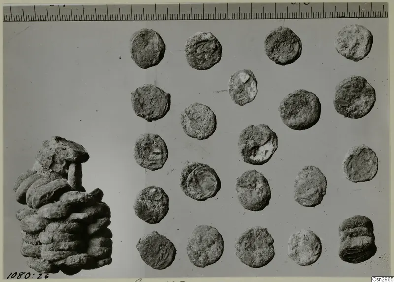 Corroded round metal discs, probably coins, laid out in rows beside a stack of similar discs, with a ruler along the top.