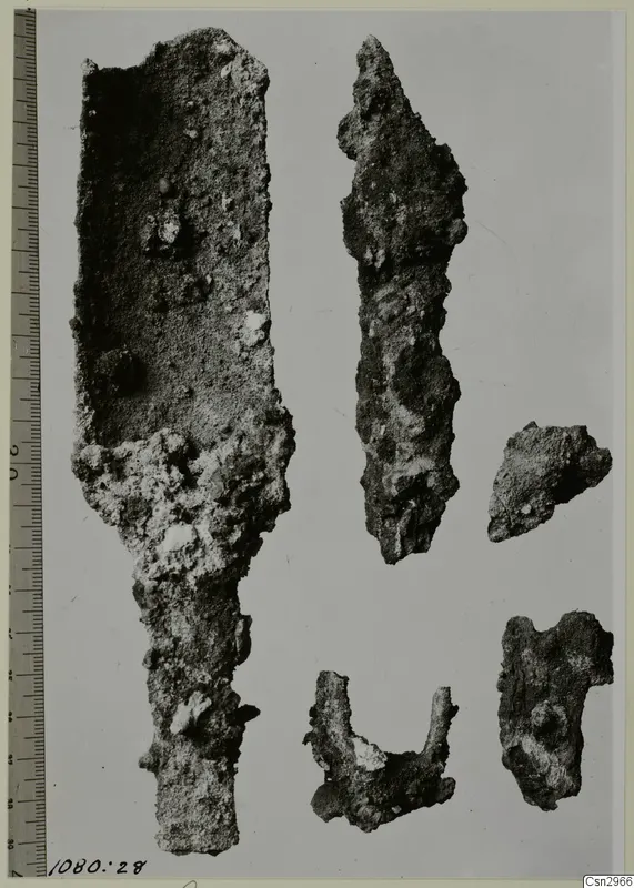 Five corroded metal fragments on a pale background, with a scale bar running along the left edge.