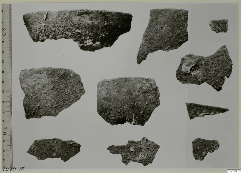 Ten pottery sherds of varied shapes laid out on a pale ground beside a measuring scale.