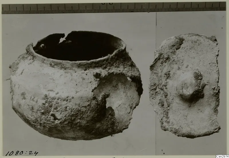 Pottery bowl with a broken rim beside a sherd with a central knob, photographed next to a scale ruler.