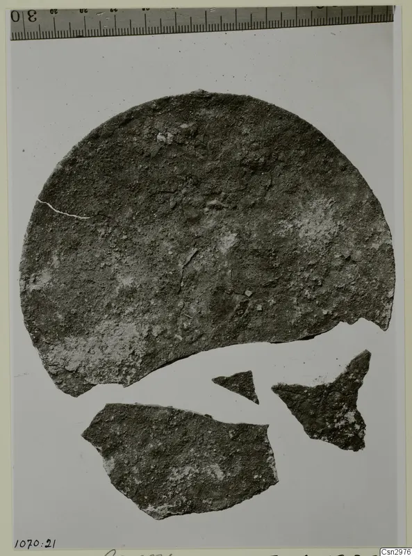Large rounded pottery sherd with three smaller fragments lying flat on a pale background, with a measuring rule above