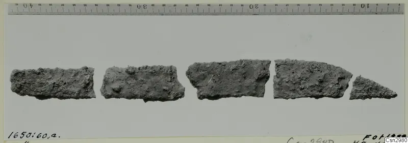 Five fragments of crumbly grey-brown material laid in a row on a grey backdrop, with a centimetre ruler along the top.