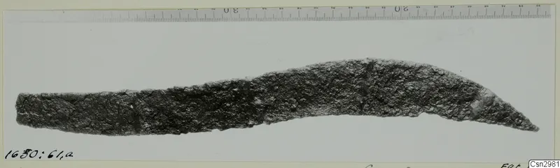 Corroded metal object, long and slightly curved with a pointed end, lying along a ruler.