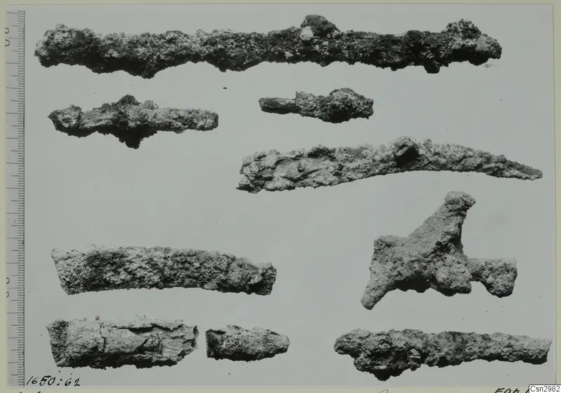 Nine corroded metal fragments on a pale background, with a measuring scale along the left edge.