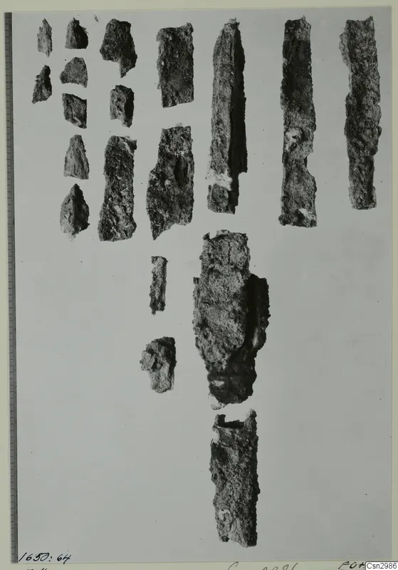 Corroded metal fragments and thin strips laid out in rows on a pale background, with a ruled scale bar along the left edge