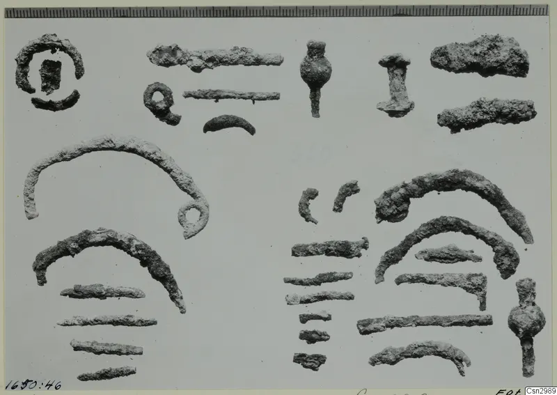 Corroded metal loops, arcs, rods and pins laid out on a pale surface, photographed before conservation