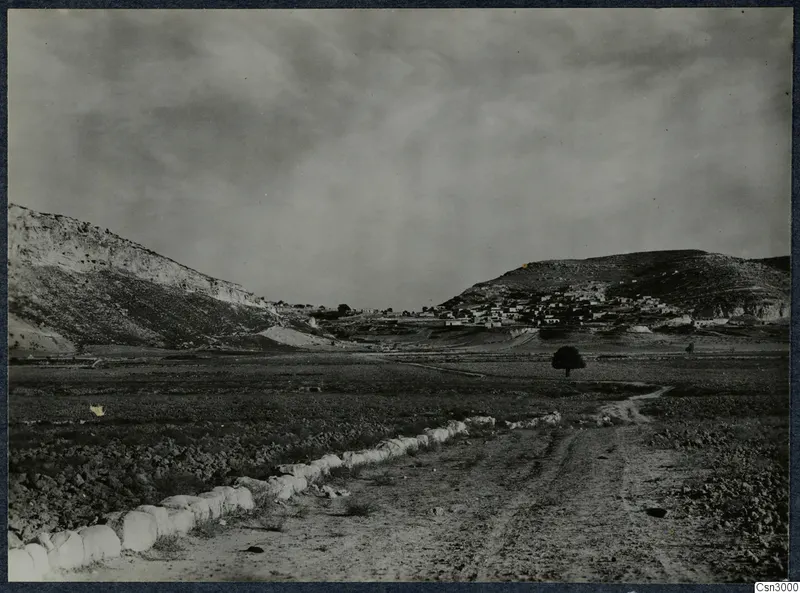 Dirt road with a low white stone wall running across a valley toward a hillside village on the Karpas peninsula.