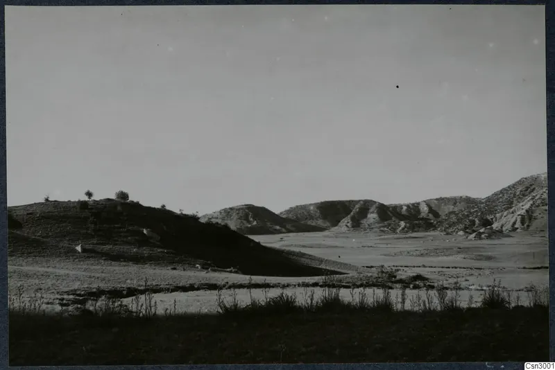 Open rocky landscape with low hills and a few scattered shrubs under a pale sky, on the Karpas peninsula