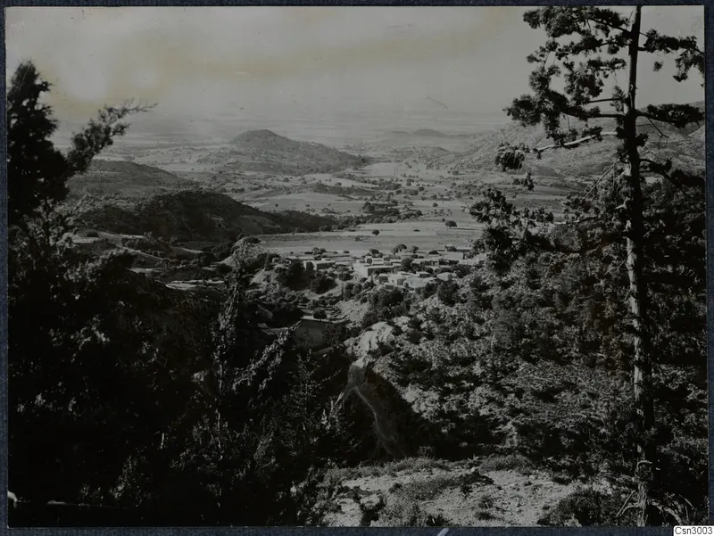 View over Machairas village, hills and plain, framed by pine trees in the foreground