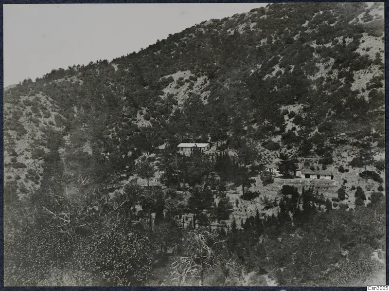 Steep wooded mountainside at Troodos Machairas with two low buildings among the pine trees.