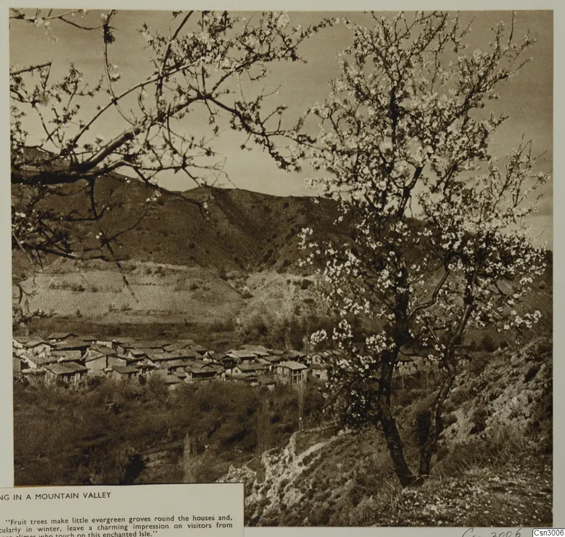 Blossoming trees framing a village of low-roofed houses in a mountain valley